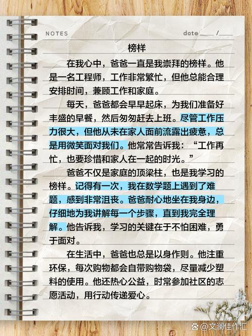 议论文中榜样力量如何塑造个体价值观？社会应如何理性看待榜样效应的局限性？-图3
