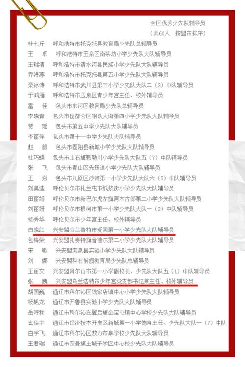 优秀少先队辅导员评选标准是什么？-图2