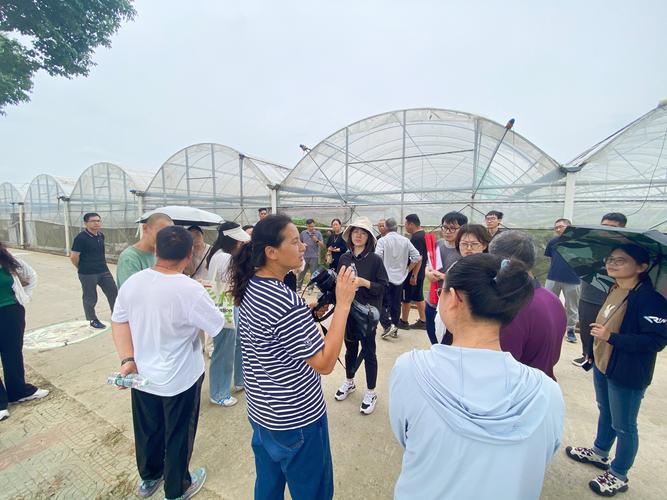 太仓辅导哪家好？如何选对靠谱机构？-图2