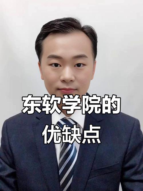 大连东软信息学院辅导员-图1