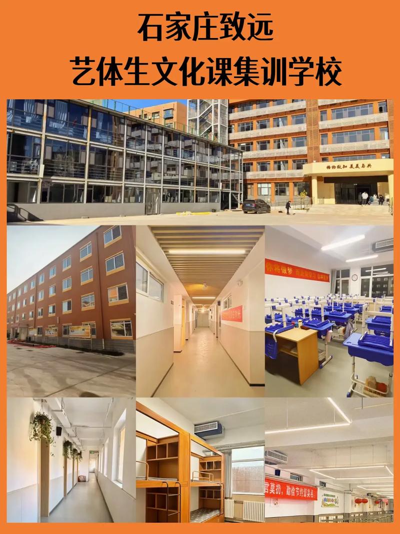 石家庄艺术生文化课辅导哪家强？-图1