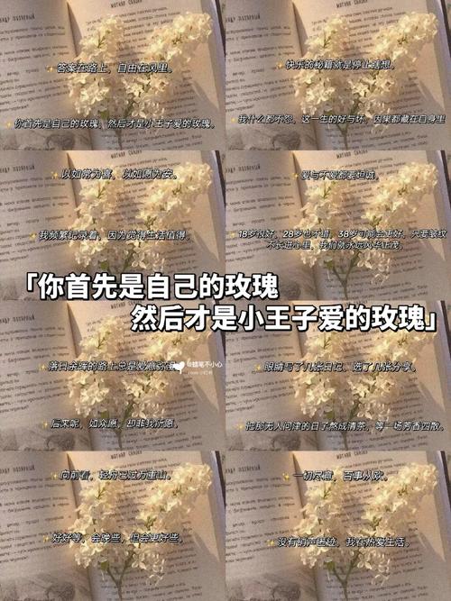 玫瑰为何是小王子的永恒羁绊?-图1 玫瑰为何是小王子的永恒羁绊?-图1