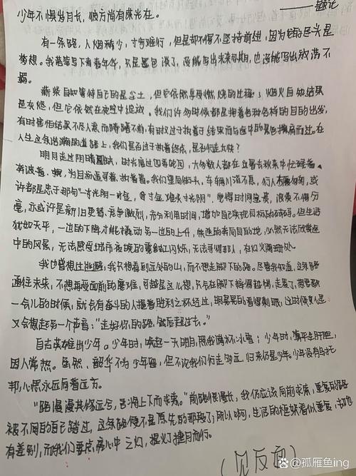 探索与追求议论文-图2 探索与追求议论文-图2