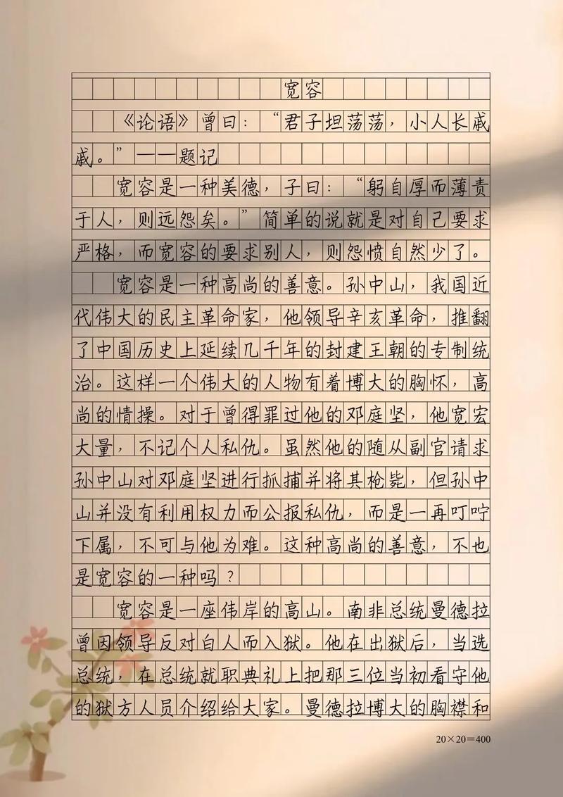 有关宽容的议论文-图2