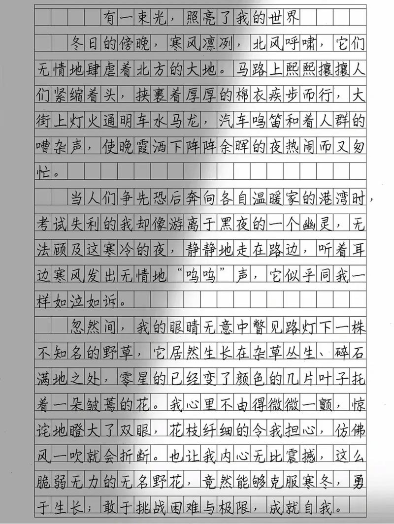 我的世界 议论文-图3