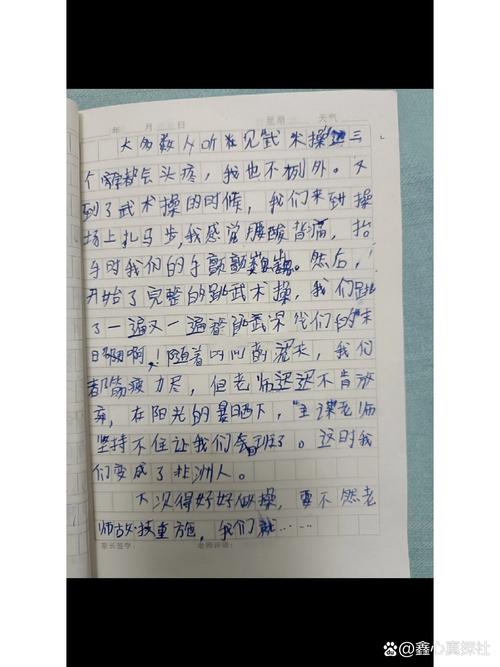 中国武术的议论文-图3 中国武术的议论文-图3