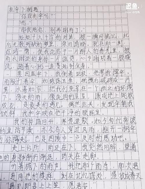 最美的相遇作文议论文-图2