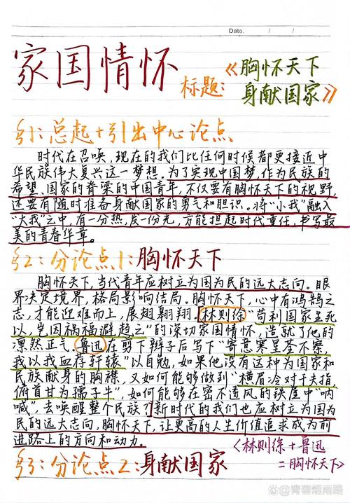 政府议论文-图1