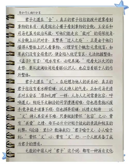 何为当仁不让于师的核心内涵？-图1