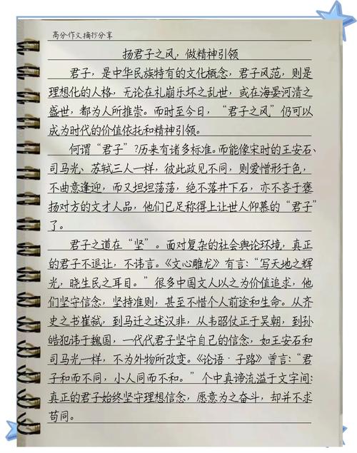 关于傅园慧的议论文-图3 关于傅园慧的议论文-图3