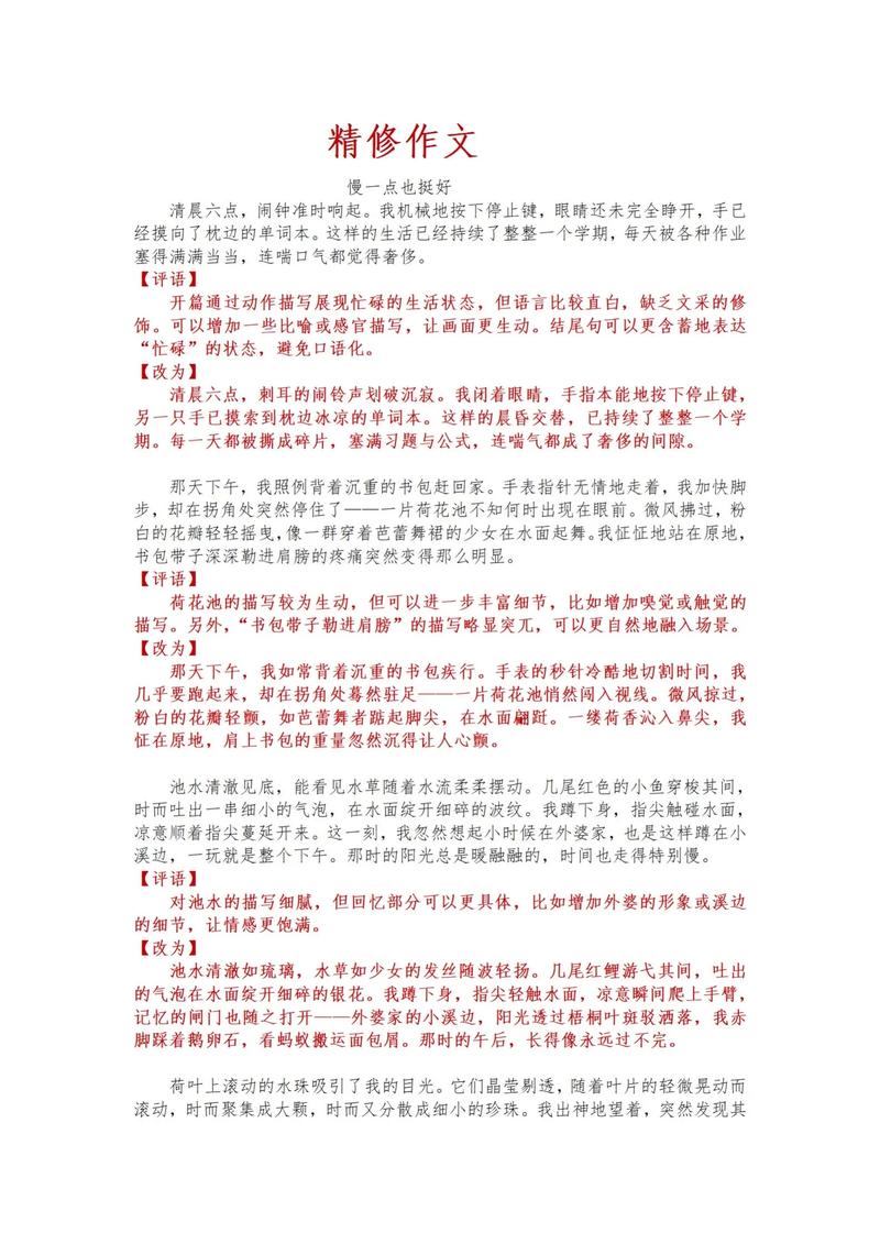 以慢为话题的议论文-图1