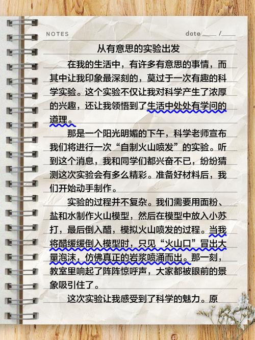 从终点出发议论文-图2