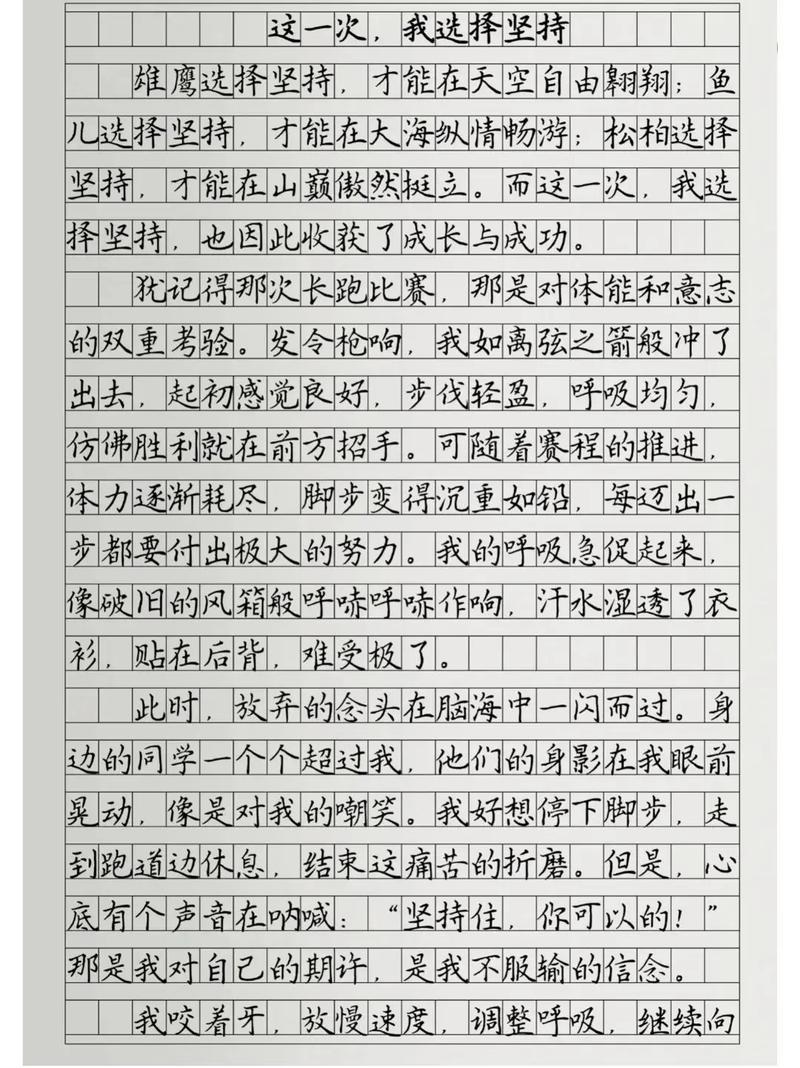 选择坚持的议论文-图2 选择坚持的议论文-图2