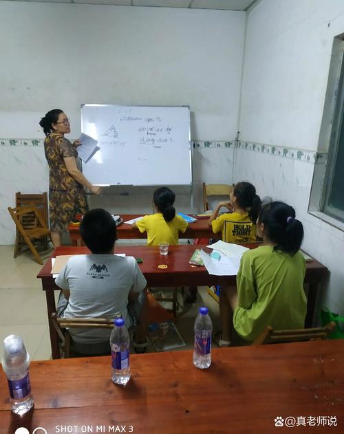 暑假老师能开辅导班吗？-图2