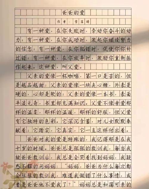 父爱无言,如何丈量其深沉与厚重?-图3 父爱无言,如何丈量其深沉与厚重?-图3