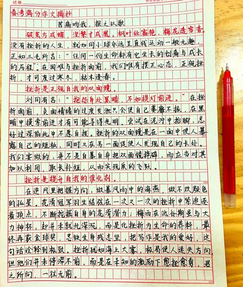 踏实，是成功的基石还是束缚的枷锁？-图3