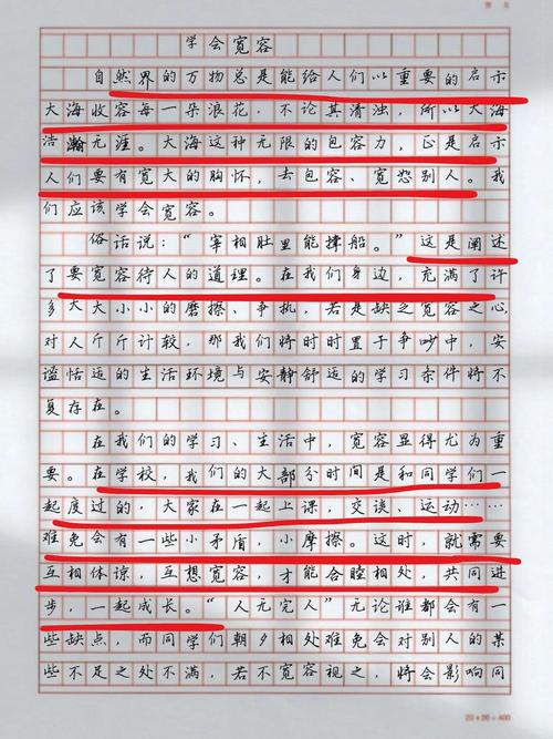 宽容是美德还是纵容？-图3