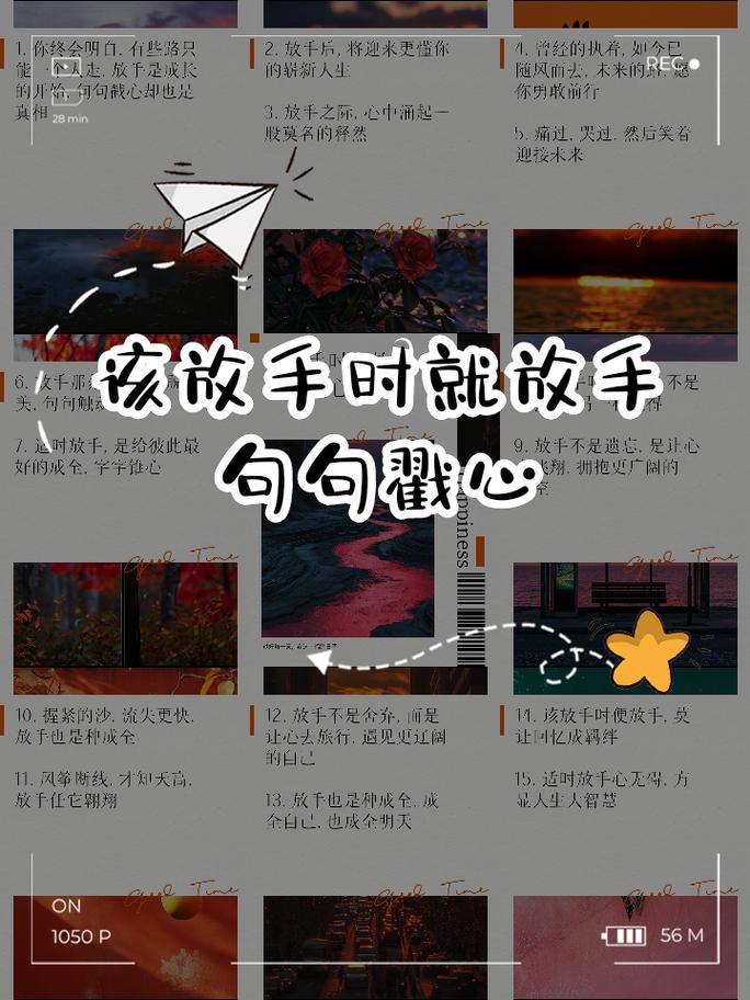 学会放手，是懦弱还是智慧？-图1