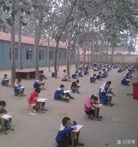 80后创 辅导班-图2