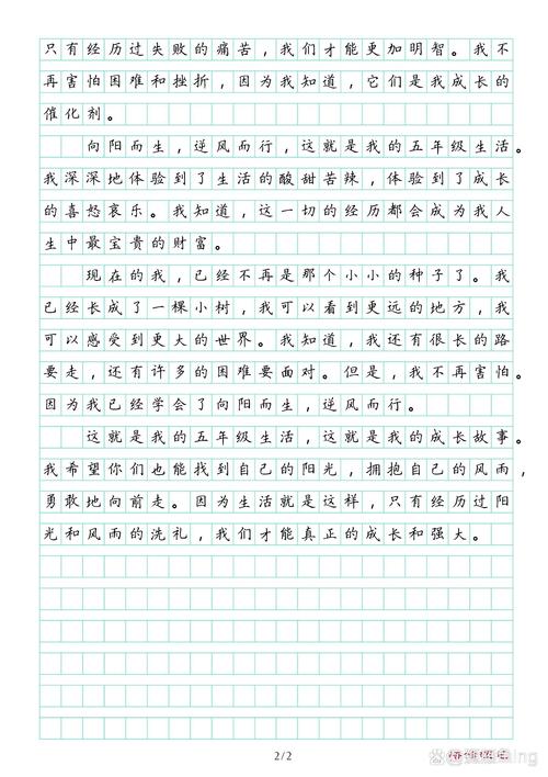 向阳之路，何为方向？-图3