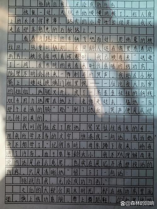 挑战自我议论文800字-图2 挑战自我议论文800字-图2