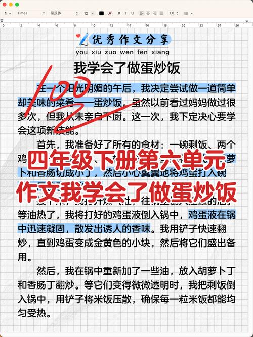 扬州炒饭申吉，争议背后藏着什么？-图3