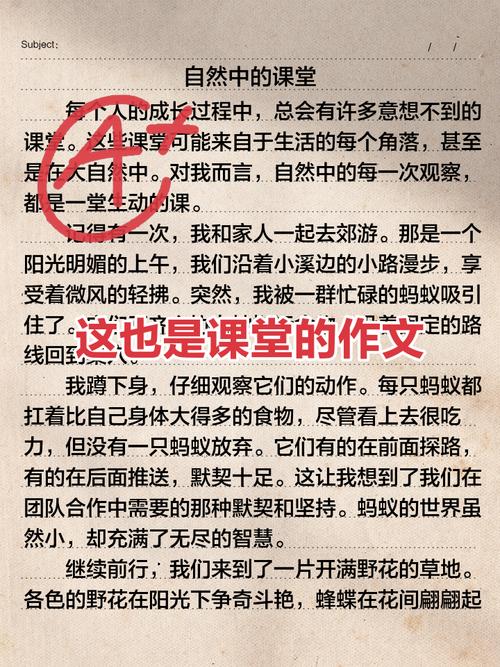 宁波作文辅导-图3 宁波作文辅导-图3