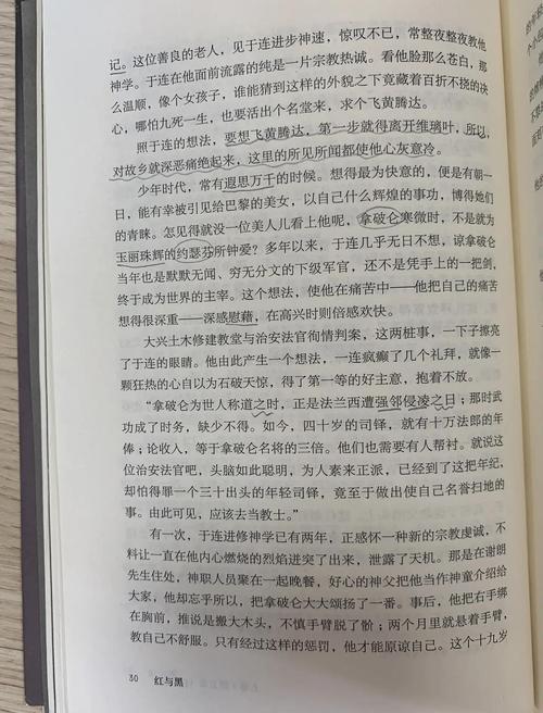 红与黑中红与黑象征人性何种矛盾?-图2 红与黑中红与黑象征人性何种矛盾?-图2