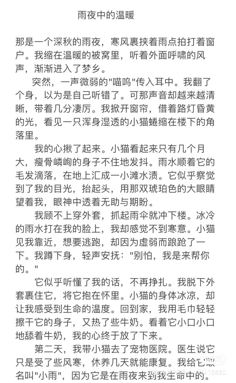 如何用行动践行对小动物的关爱?-图2 如何用行动践行对小动物的关爱?-图2