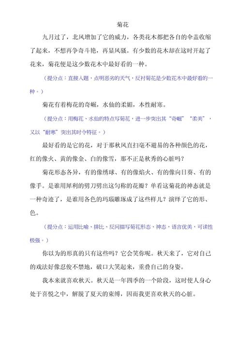 菊花精神，在当下何解？-图1