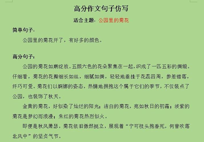 菊花精神，在当下何解？-图2