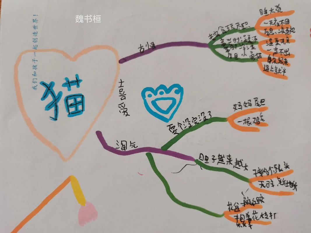 辅导导猫?猫咪也需要辅导吗?-图3 辅导导猫?猫咪也需要辅导吗?-图3