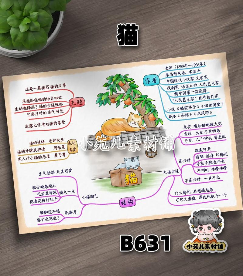 辅导导猫?猫咪也需要辅导吗?-图2 辅导导猫?猫咪也需要辅导吗?-图2