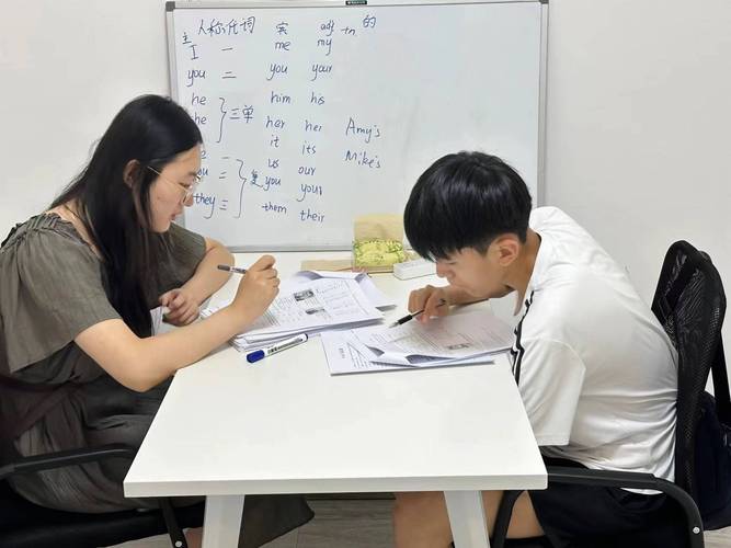 辅导组具体指什么？-图1