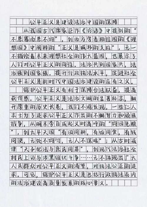 公正的议论文-图2