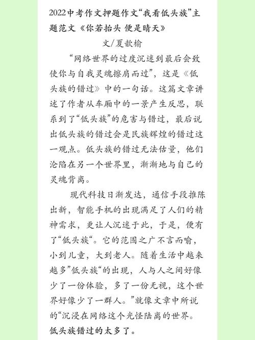 低头族作文议论文-图1