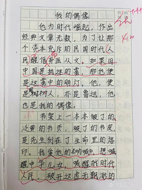 偶像与英雄，究竟有何本质区别？-图1