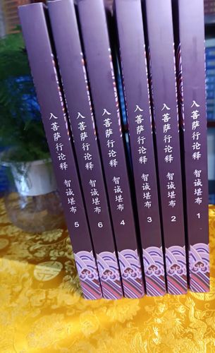 入行论辅导，生西法师如何引导？-图1