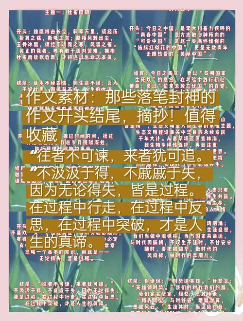 议论文开头结尾如何写才优美？-图2