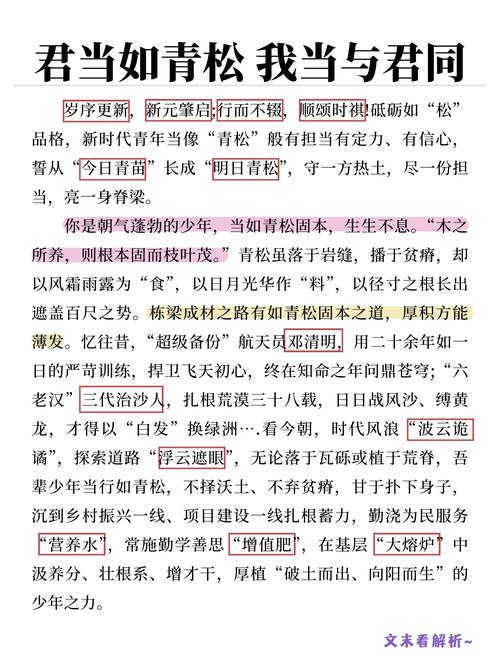 议论文开头怎么写才出彩?-图1 议论文开头怎么写才出彩?-图1