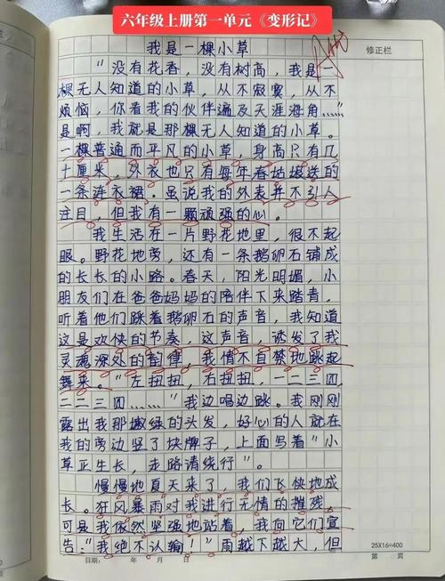 议论文如何变形？技巧与方向何在？-图1