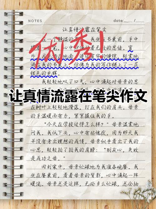 真情何以为真？-图2