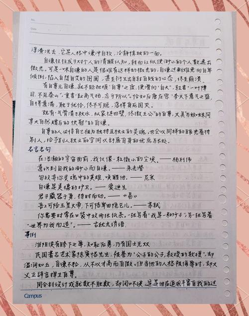 议论文 分享-图3