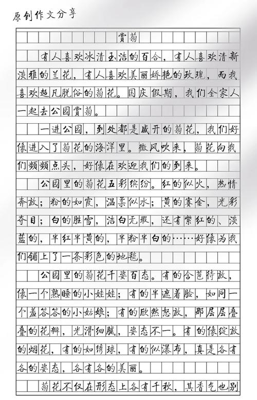 野菊精神，何以照亮人生？-图2