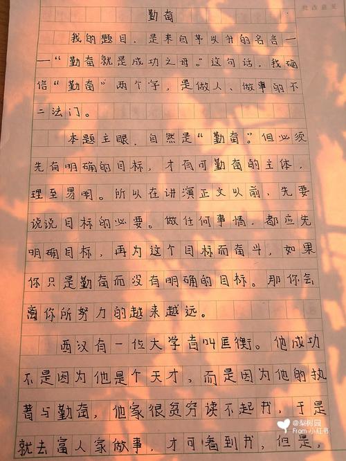 勤奋是成功的唯一路径吗？-图1