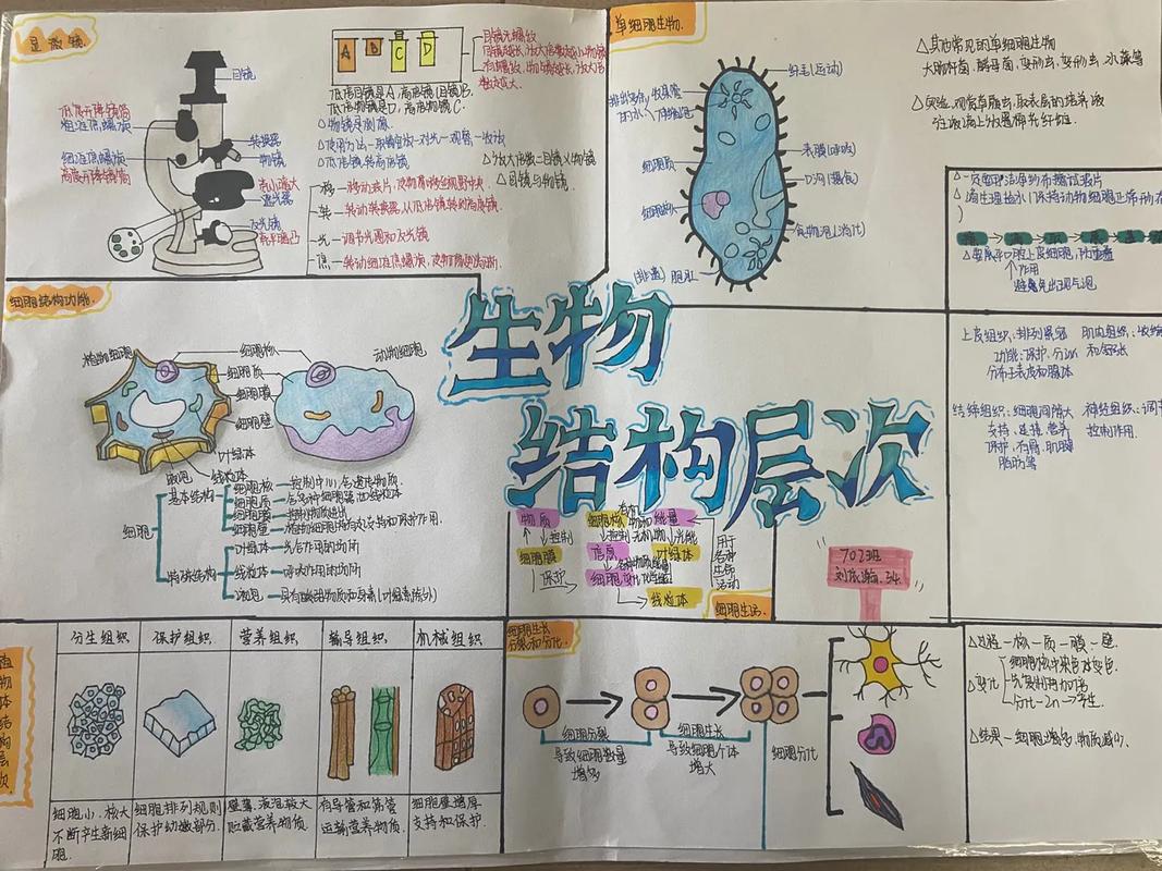 初一生物在线辅导效果如何?-图2 初一生物在线辅导效果如何?-图2