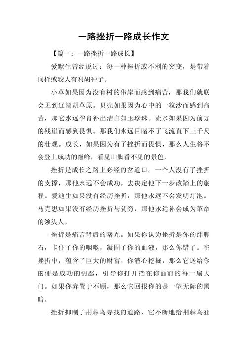 关于人生坎坷的议论文-图3