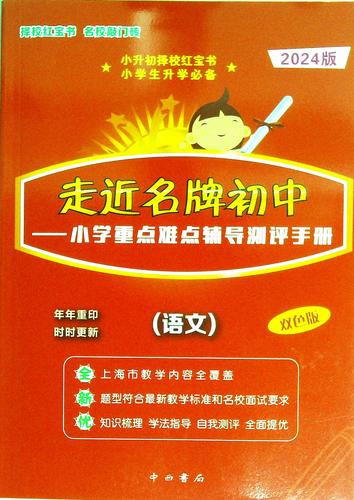 小学升初中语文辅导该怎么做？-图1