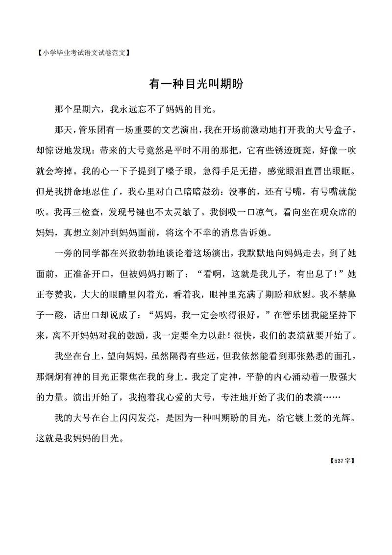 目光长远的议论文-图2