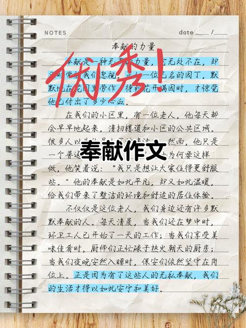 爱心奉献，何为真谛？-图3